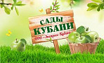 Сады Кубани